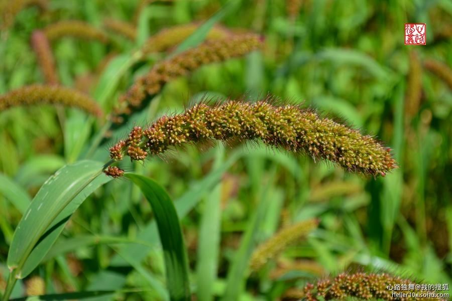 红尘俗事皆自扰