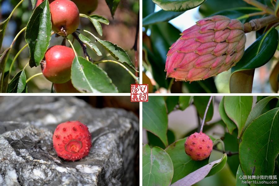 红尘俗事皆自扰