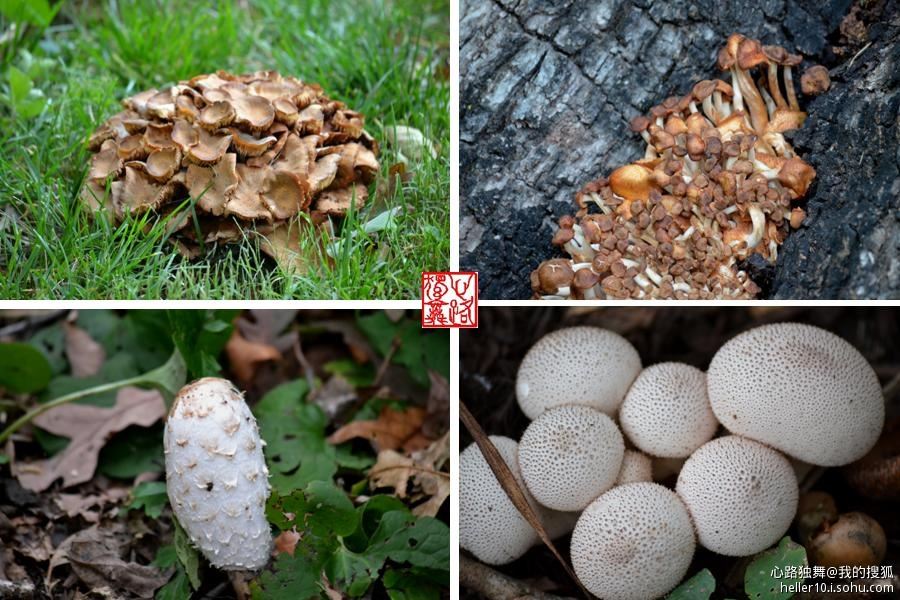 红尘俗事皆自扰