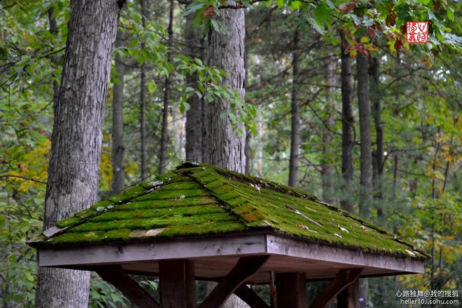 红尘俗事皆自扰