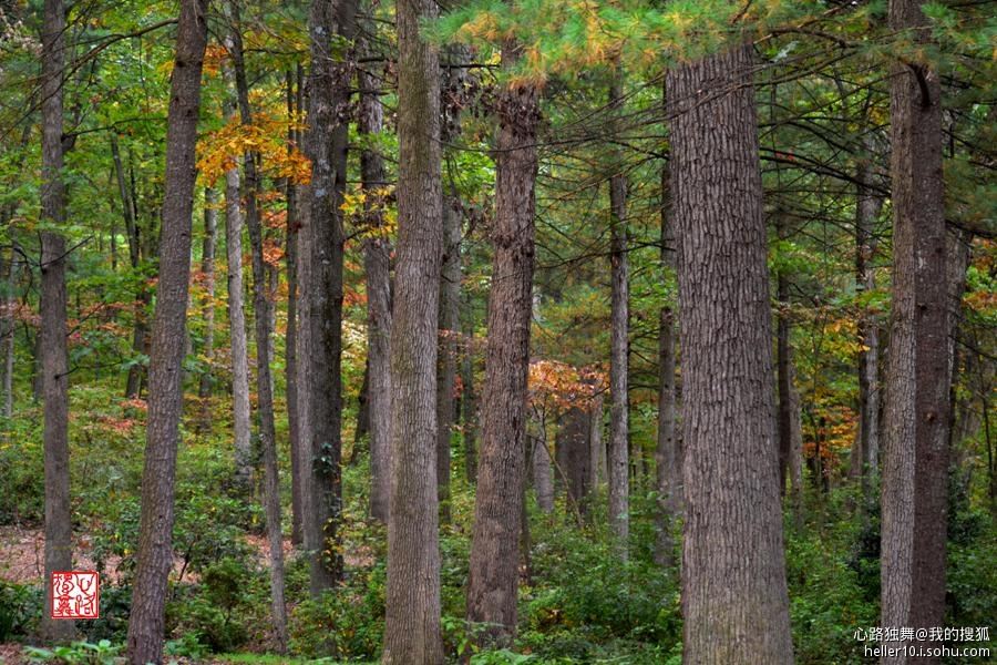 红尘俗事皆自扰