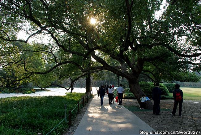 西湖十景之花港观鱼