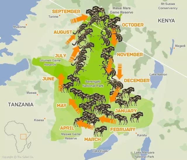 「东非大迁徙」“神的年度大戏”-“天国之渡”烧脑谜题