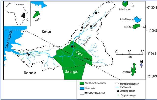 「东非大迁徙」“神的年度大戏”-“天国之渡”烧脑谜题