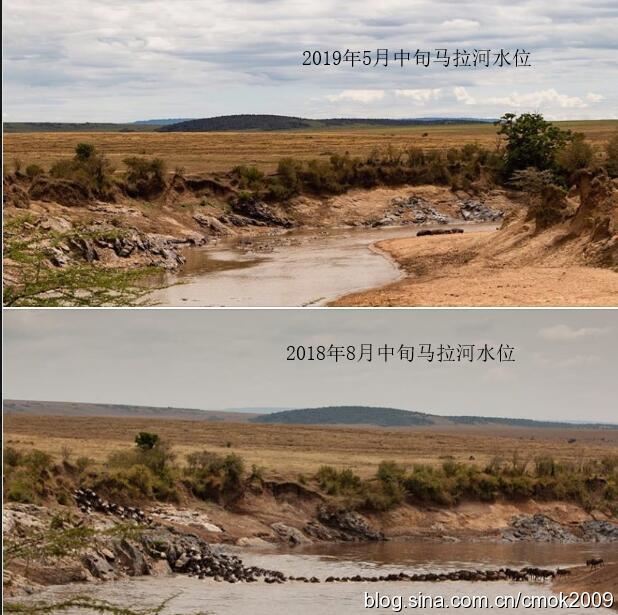 「东非大迁徙」“神的年度大戏”-“天国之渡”烧脑谜题