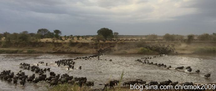 「东非大迁徙」“神的年度大戏”-“天国之渡”烧脑谜题