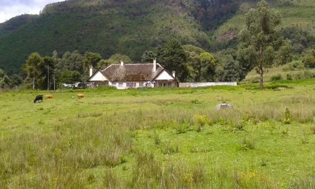 「东非大迁徙」“神的年度大戏”-“天国之渡”烧脑谜题