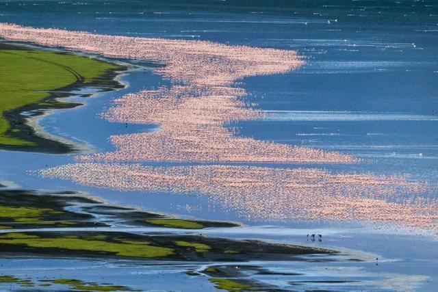 「东非大迁徙」“神的年度大戏”-“天国之渡”烧脑谜题