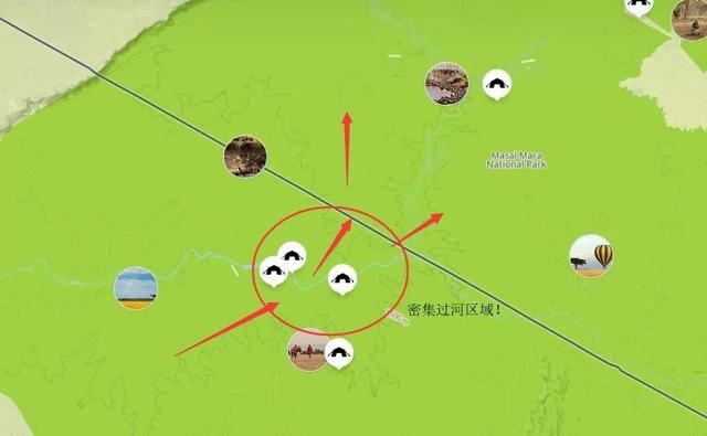 「东非大迁徙」“神的年度大戏”-“天国之渡”烧脑谜题