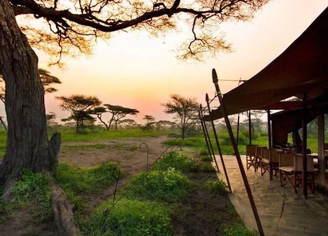 「东非大迁徙」“神的年度大戏”-“天国之渡”烧脑谜题