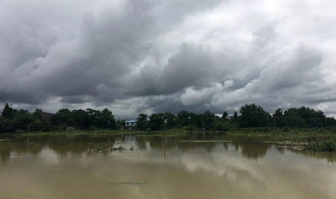 直击：安徽安庆桐城暴雨受灾现场