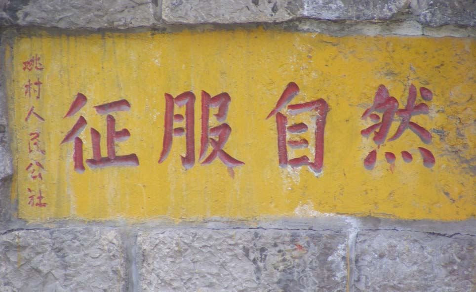 关中往事:民国十八年年馑(上)