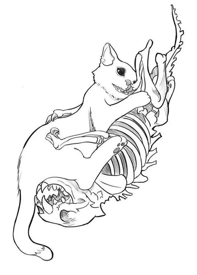 疫情世界的19条定律——读懂了这19条定律，就读懂了疫情