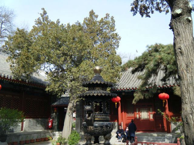 佛界最高学府：中国佛学院