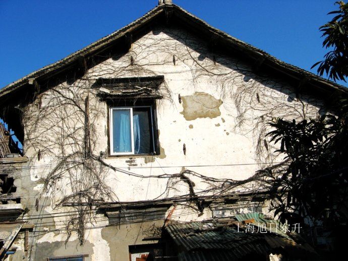 寻找七宝未曾消失的江南小镇遗韵