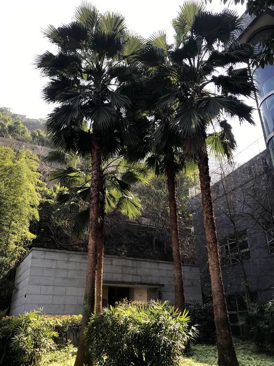 参访史迪威将军博物馆