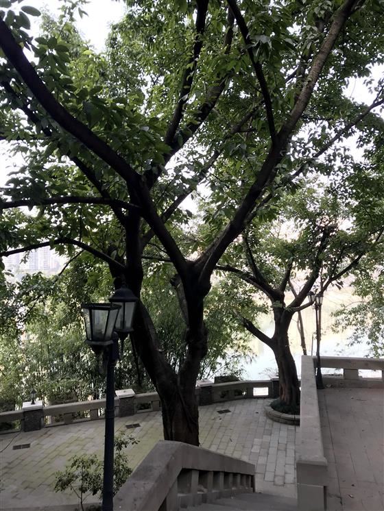 参访史迪威将军博物馆