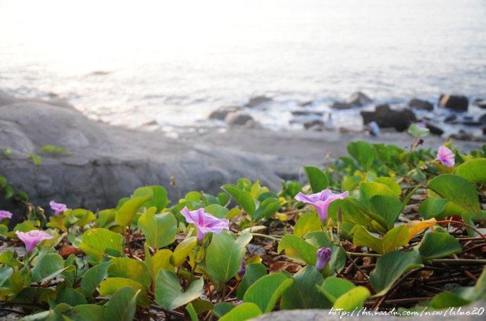 【非常三亚】南山寺，静心禅修