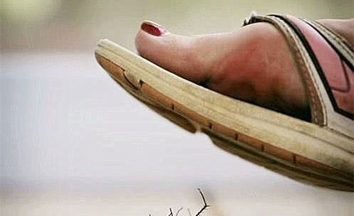 老人常说蟑螂不能用脚踩，不然会越来越多，知道真相后很无语