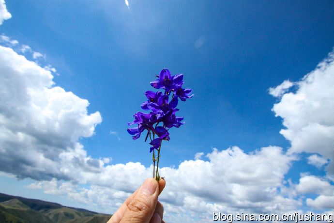 #一城一夏#一路向北，七月挺进黄花沟