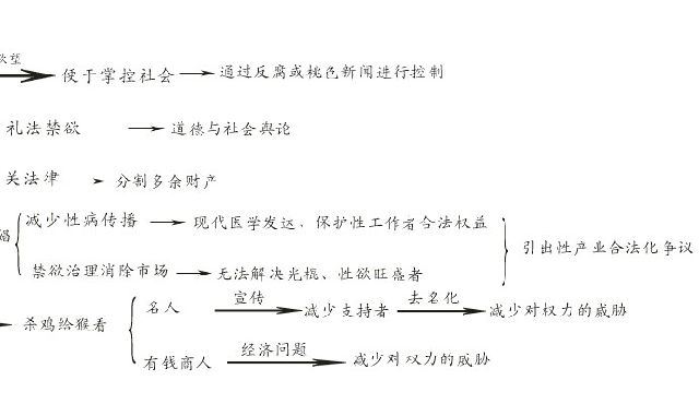 浅淡黄海波嫖娼事件的法律和政治问题