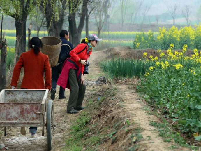 汉中之行----赏油菜花