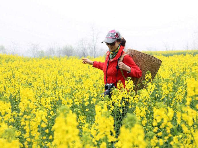汉中之行----赏油菜花