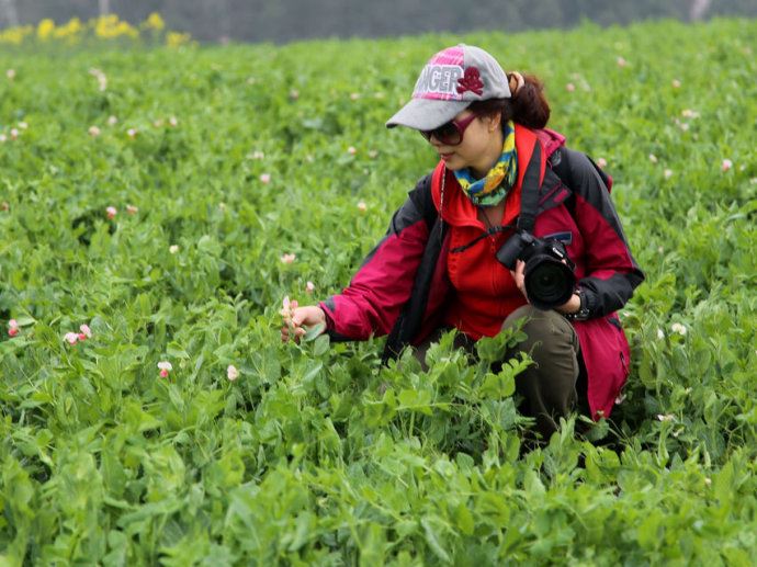 汉中之行----赏油菜花