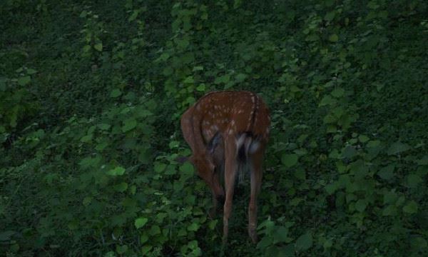 网曝北京神秘大趴尺度堪比海天盛筵（图）
