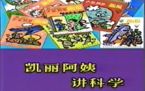 揭秘张凯丽老公的真实身份（图）