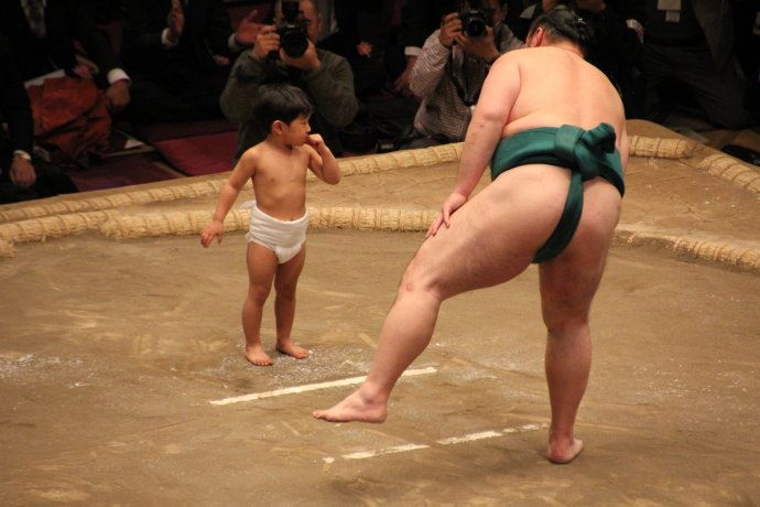 日本相扑运动员退役后都干什么