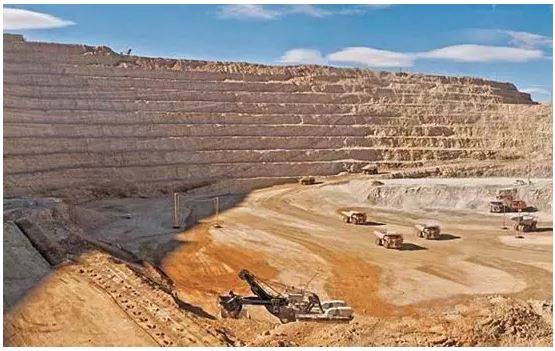 食品中的重金属，到底是怎么来的？