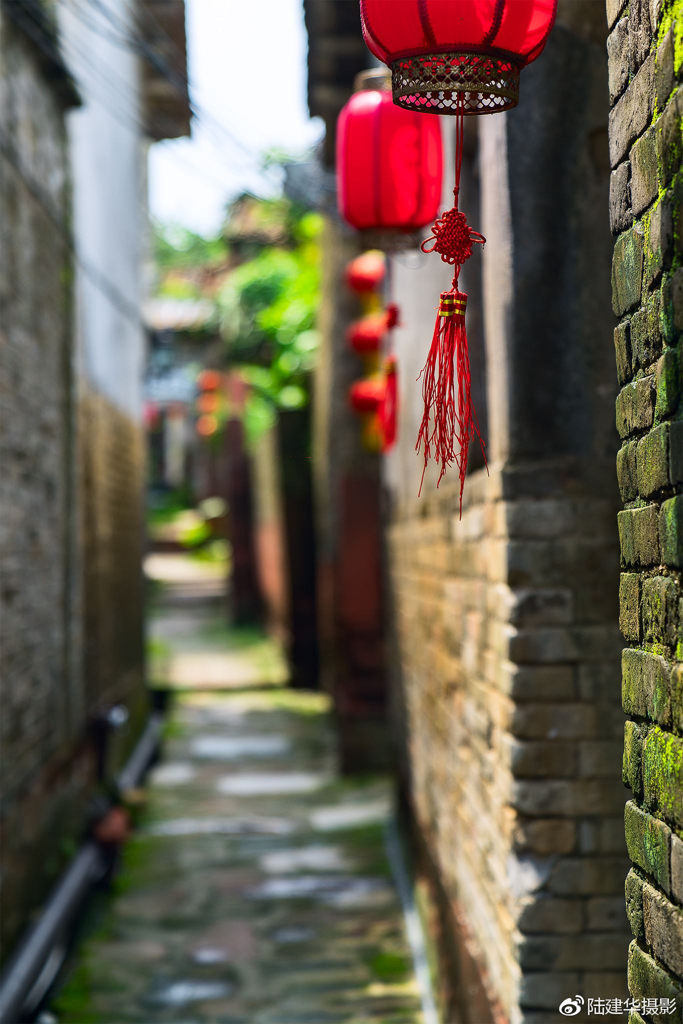 南社明清古村，29座宗祠供奉着同一个祖先
