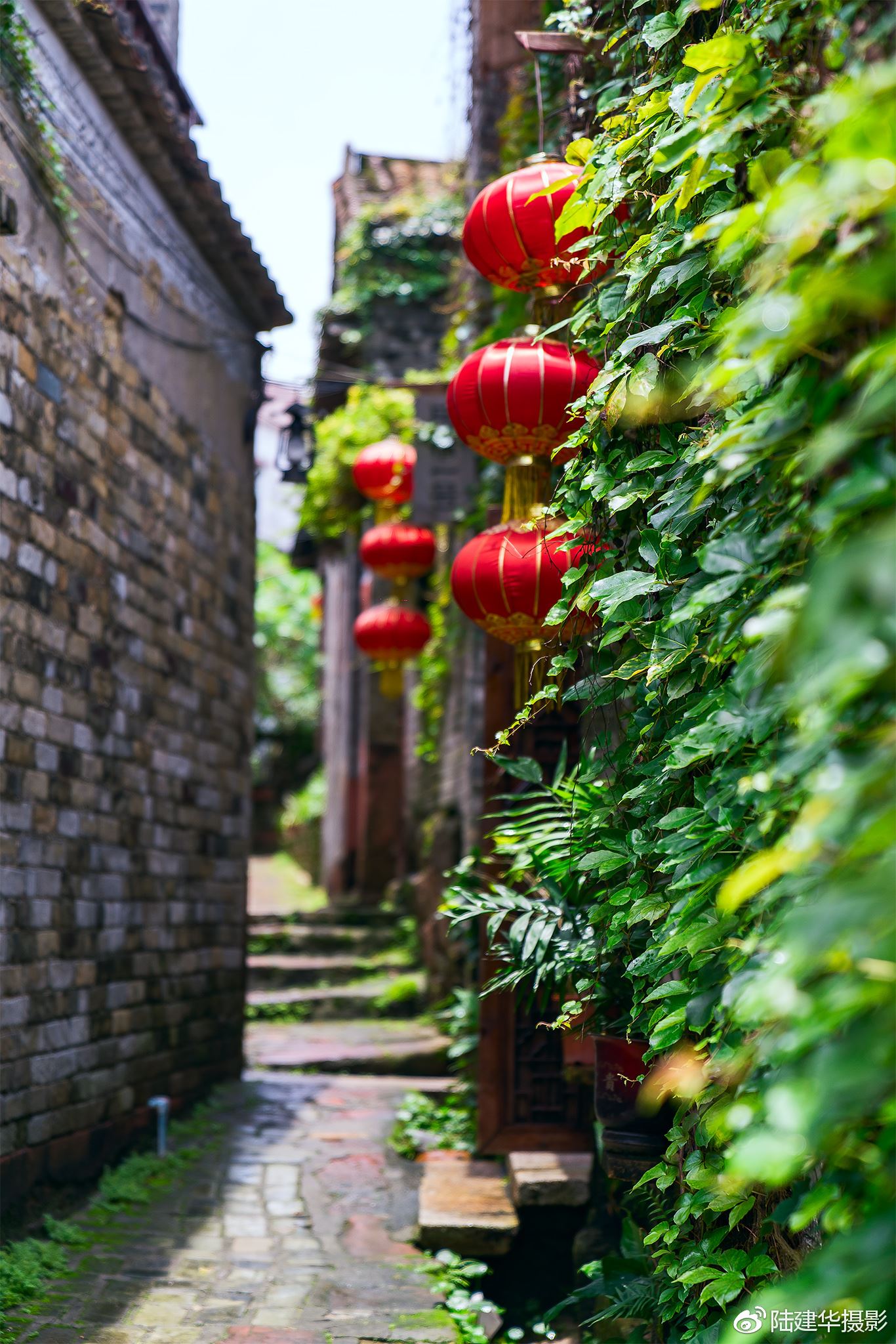南社明清古村，29座宗祠供奉着同一个祖先