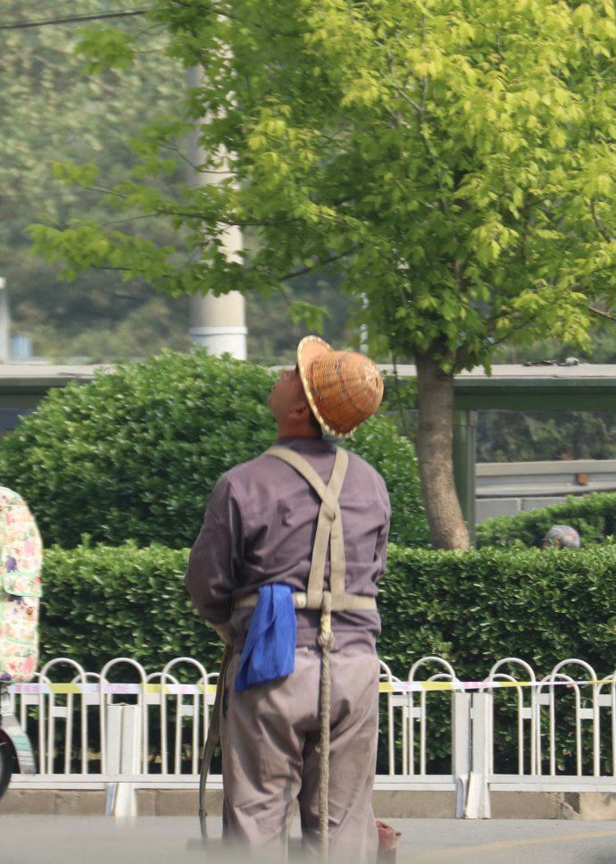蜘蛛侠,高楼清洁工