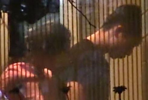 魏晨性感女友于玮私照首曝光