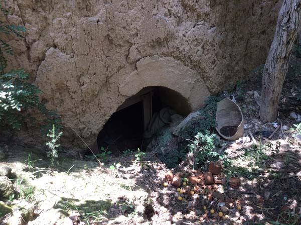 揭秘令政策的身世与从政经历（图）