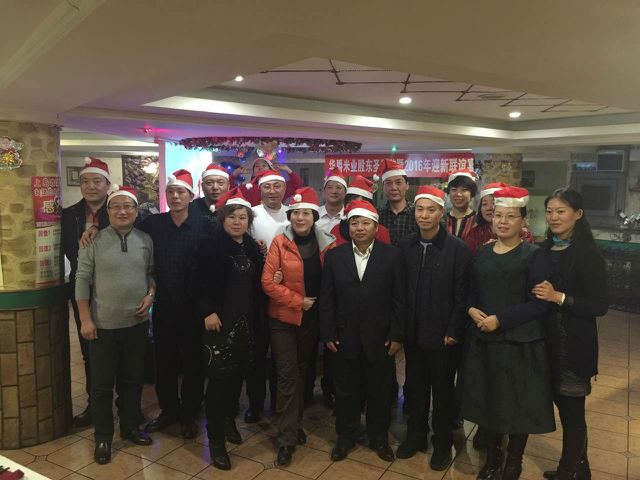 上岛咖啡,大姐永远的情怀