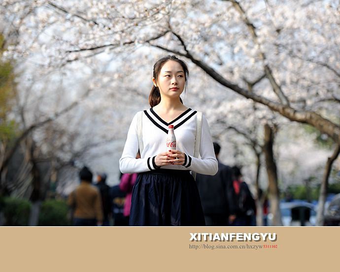 南京最美的樱花大道——鸡鸣寺路