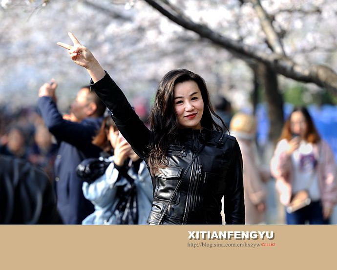 南京最美的樱花大道——鸡鸣寺路