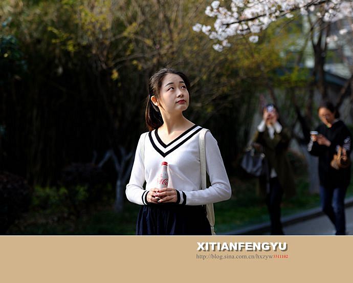 南京最美的樱花大道——鸡鸣寺路