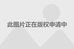 王朔,你想封杀自己吗?
