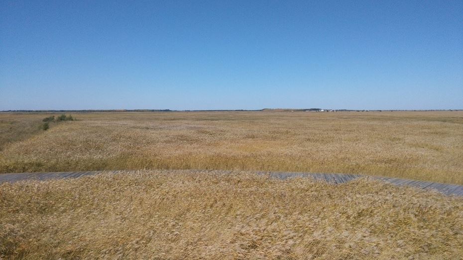 黑龙江齐齐哈尔扎龙自然保护区