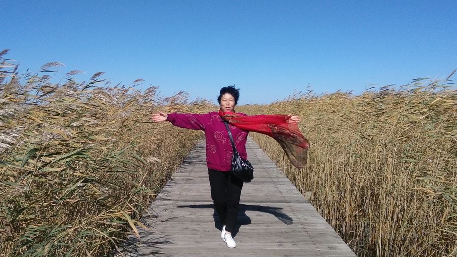 黑龙江齐齐哈尔扎龙自然保护区