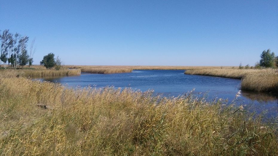 黑龙江齐齐哈尔扎龙自然保护区