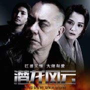 倾情奉献：100部中外电影原创微影评