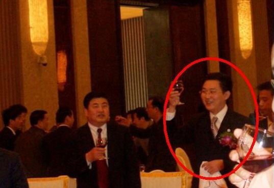 董卿承认已当妈孩子他爸究竟是谁？