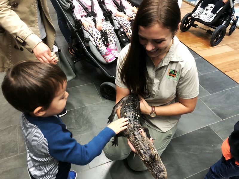 别致有趣的企业亲子活动