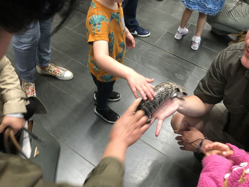 别致有趣的企业亲子活动