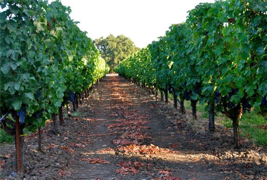 婚外情网站盘点全球十大偷情胜地（组图）